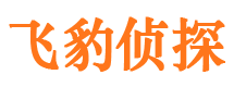 复兴市侦探公司